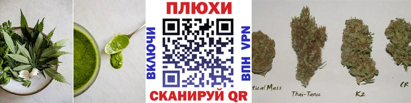 Cannafood конопля  это Telegram  Камбарка 