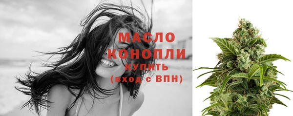 прущие грибы Вязьма