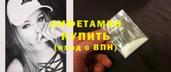 прущие грибы Вязьма