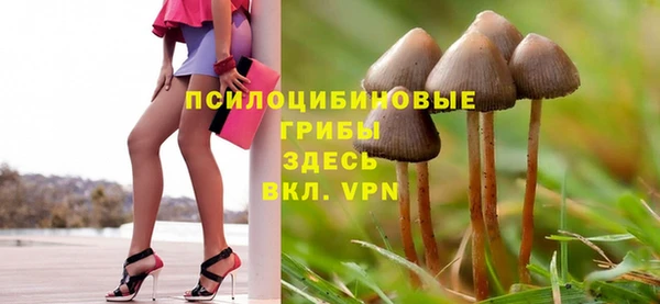 герыч Вяземский