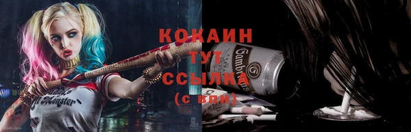 прущие грибы Вязьма