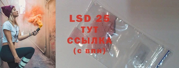 прущие грибы Вязьма