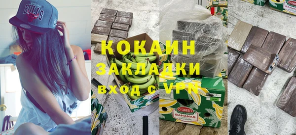 прущие грибы Вязьма