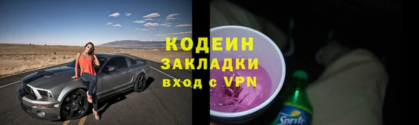 прущие грибы Вязьма