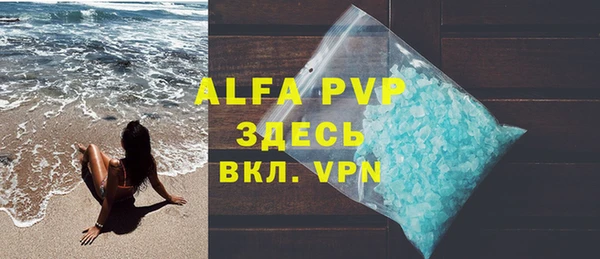прущие грибы Вязьма