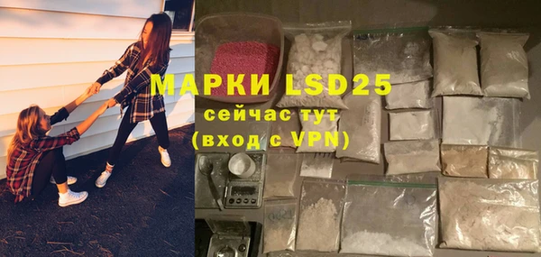 прущие грибы Вязьма