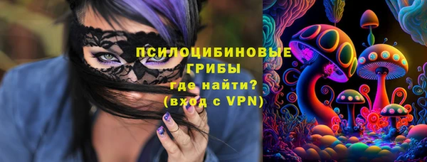 герыч Вяземский