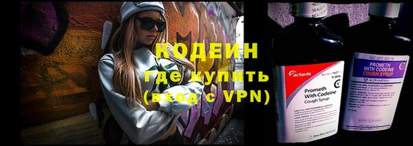 прущие грибы Вязьма