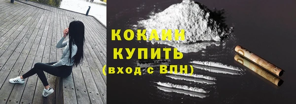прущие грибы Вязьма