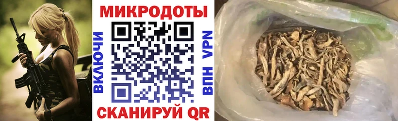 Псилоцибиновые грибы Psilocybe  даркнет сайт  Камбарка 